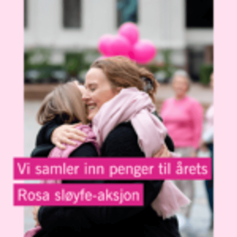 Garnpakke Rosevotter Rosa Sløyfe