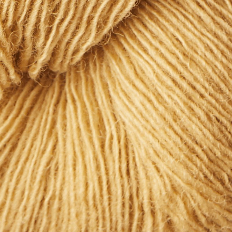 Isager Spinni (100g)