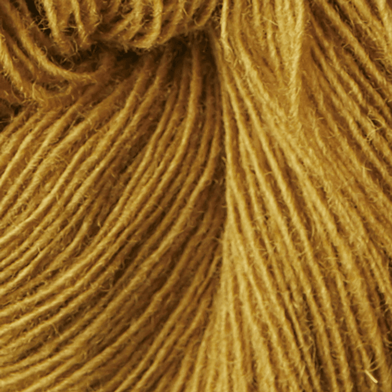 Isager Spinni (100g)